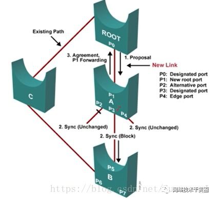 網絡工程師必懂 STP與RSTP協議詳解及實戰軟件工具